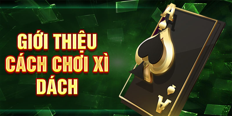 Giới thiệu cách chơi xì dách