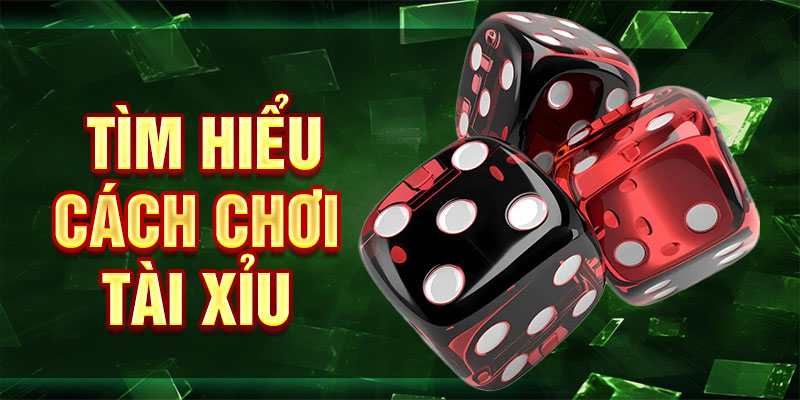 Tìm hiểu cách chơi tài xỉu