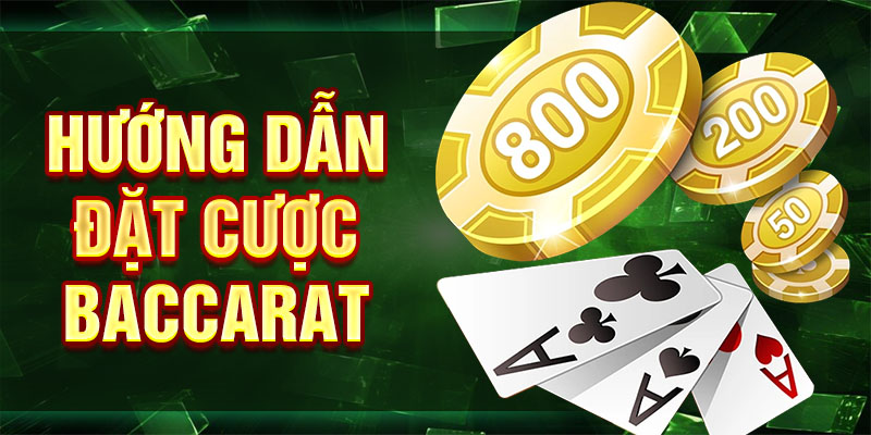 Hướng dẫn đặt cược baccarat