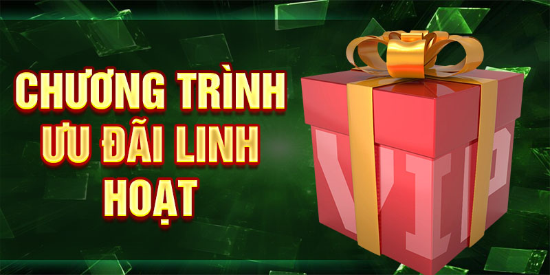 Chương trình ưu đãi linh hoạt