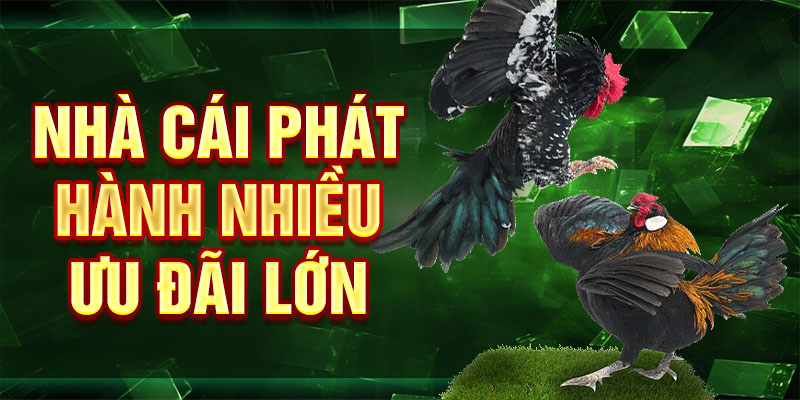Nhà cái phát hành nhiều ưu đãi lớn