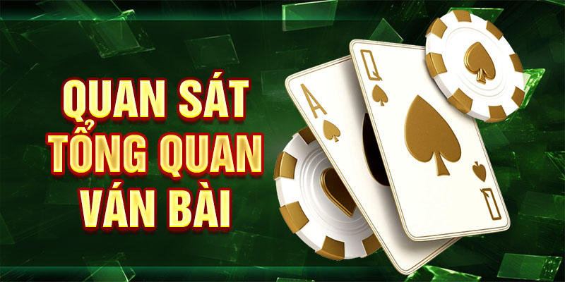 Quan sát tổng quan ván bài