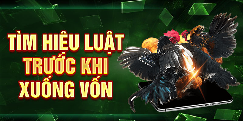Tìm hiệu luật trước khi xuống vốn