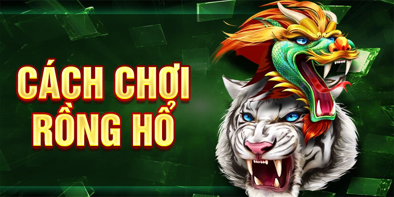 Cách Chơi Rồng Hổ - Luật Chơi, Bí Kíp Cược Thắng Lớn