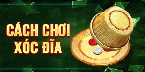 Cách Chơi Xóc Đĩa - Bắt Vị Chuẩn Xác, Thắng Đậm Mọi Ván